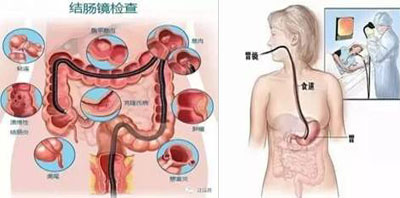 消化内科(图2)