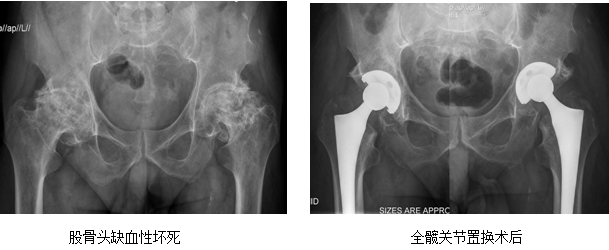 骨科(图6)